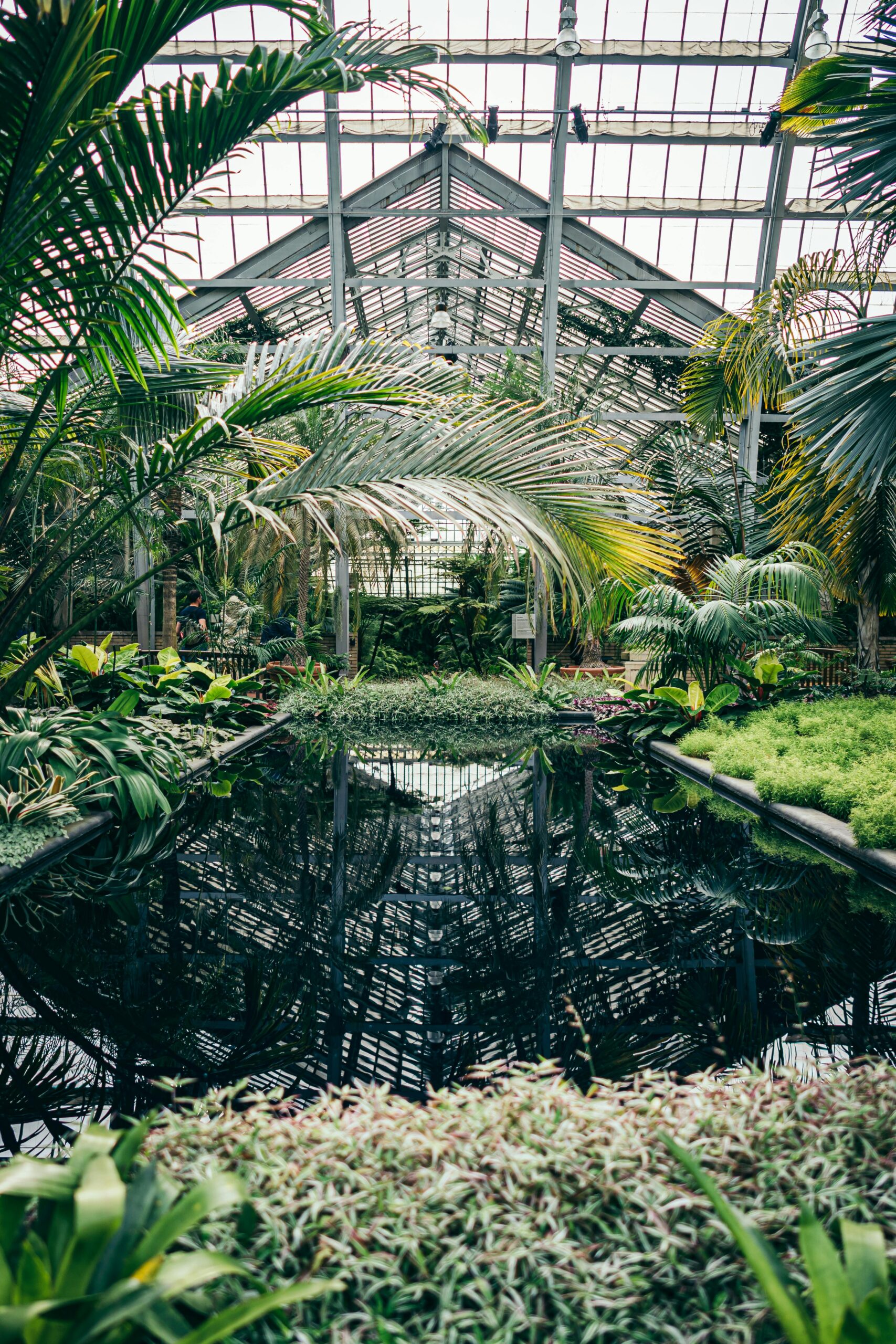 Explore this vibrant greenhouse filled with lush tropical plants and a serene water reflection.